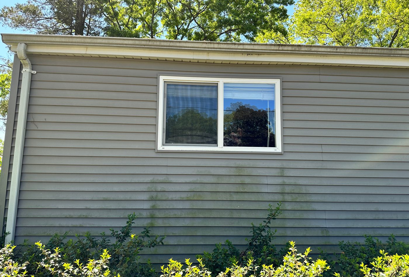 Vinyl siding with green algae before soft washing