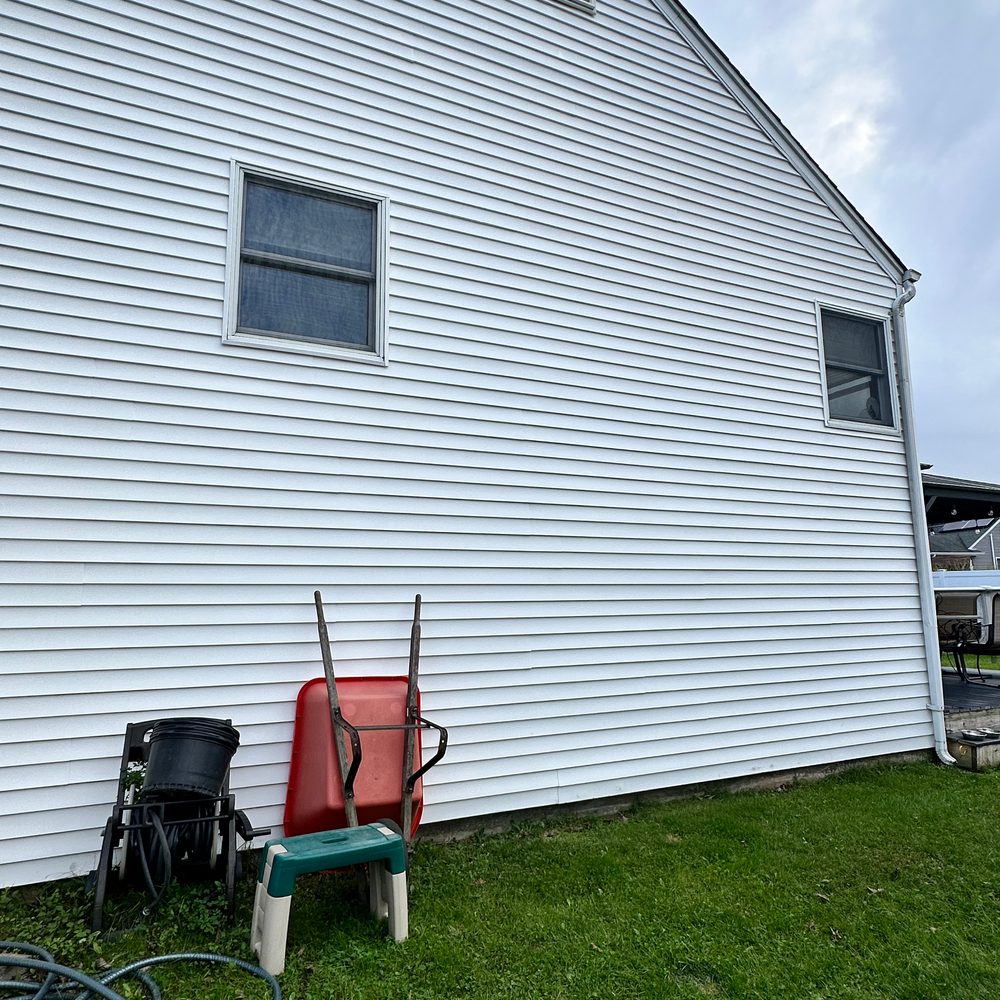White vinyl siding with algae before soft washing