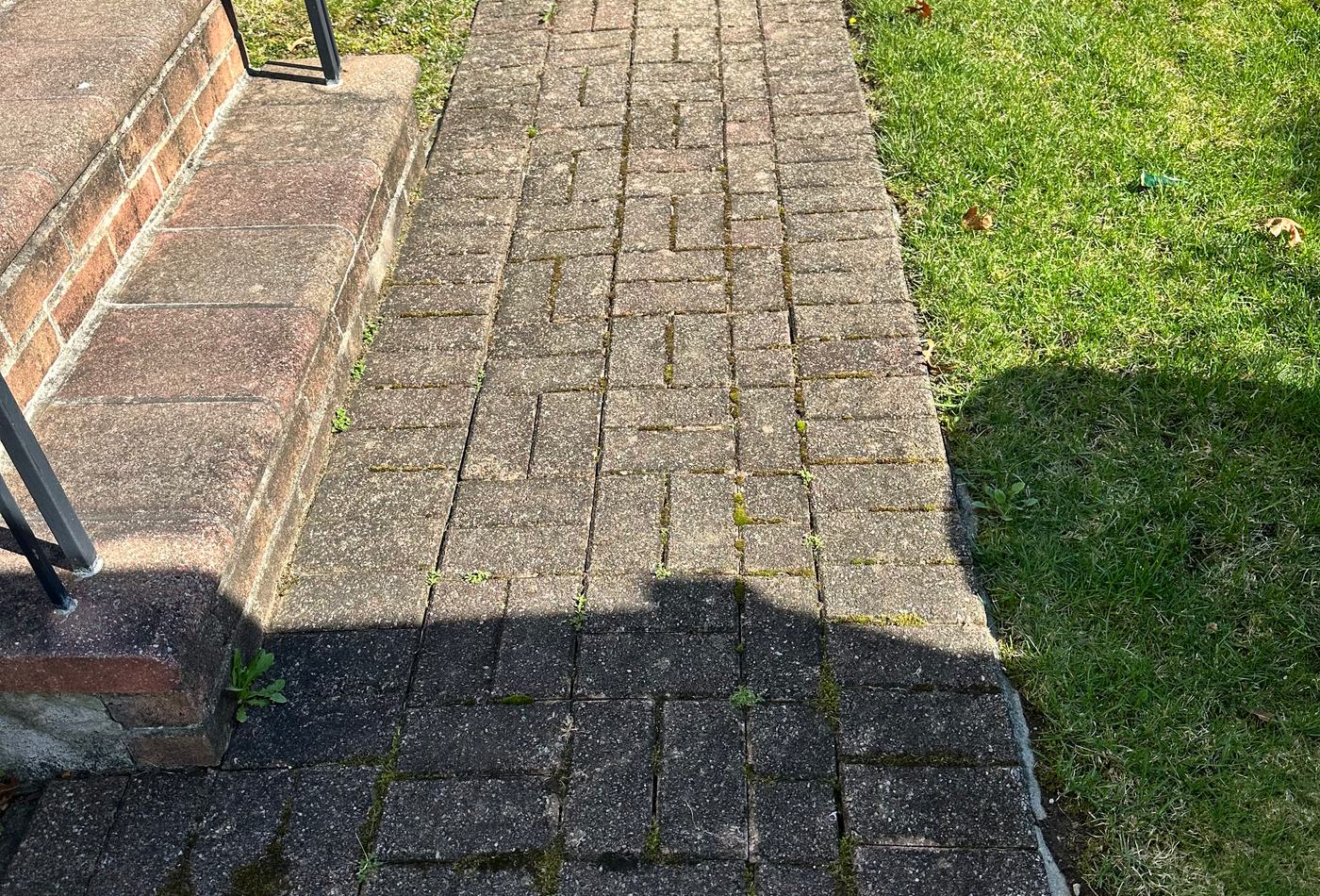 Brick walkway before cleaning